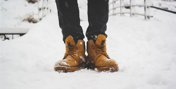 Winter Wear