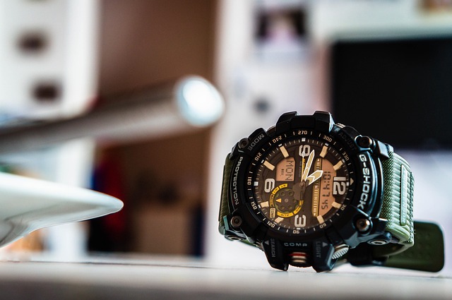 Casio Digital Watches